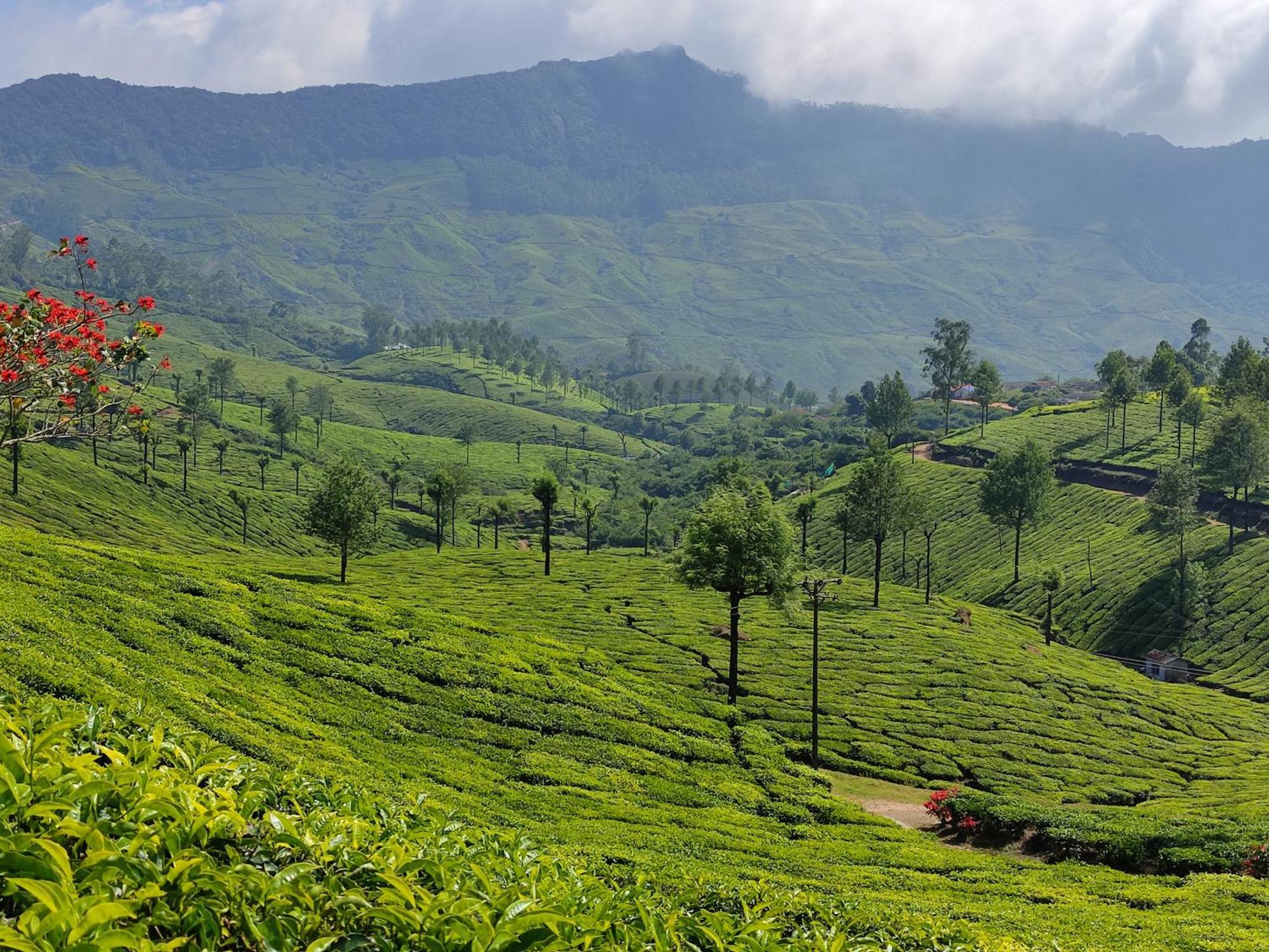 Munnar Village Homes Exterior photo